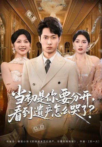 当初是你要分开，看到遗产怎么哭了？（70集）霍俊全＆金珊＆曹瑶佳 高清完整版