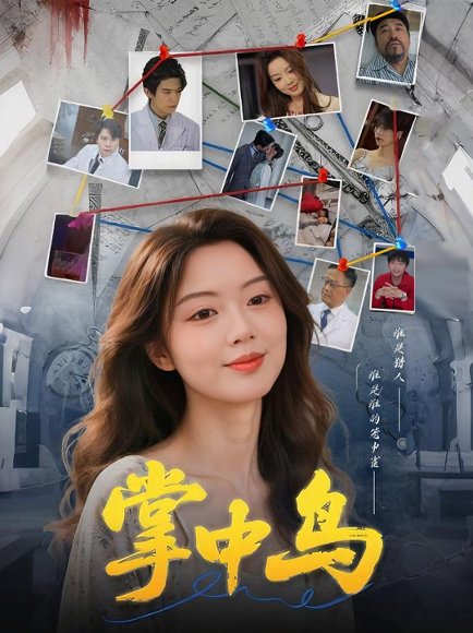 掌中鸟（42集）唐朵&李衡伟 高清完整版