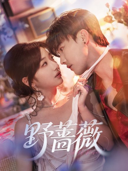 野蔷薇（60集）杜亚飞&杨殊予 高清完整版