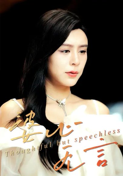 婆心无言（30集）张轶静&邱晓虎 高清完整版